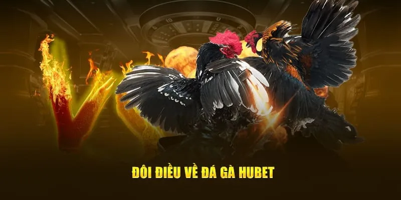 Giới thiệu vài thông tin sơ lược về sảnh chọi kê tại HUBET