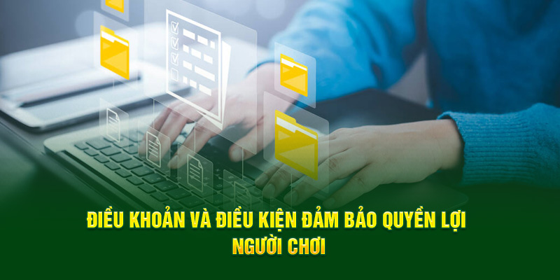 Tổng quan những thông tin liên quan đến chính sách điều khoản điều kiện 2025